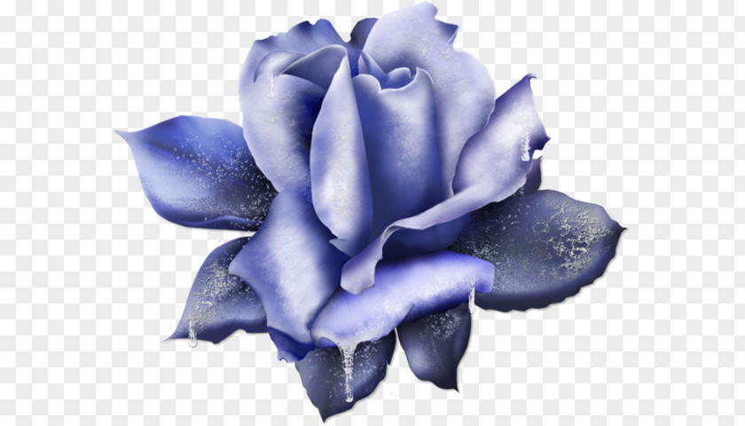 Rose Blue Clip Art PNG