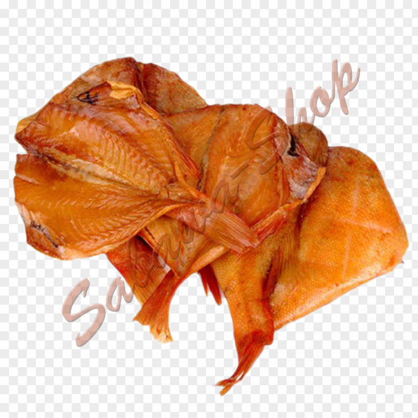 Schleifwerk 21 Gmbh Pig's Ear Fish Sony Ericsson W205 Mobile Phones PNG