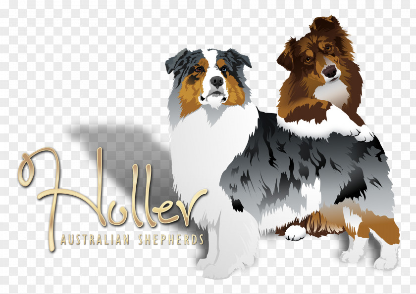 Shepherd Australian German Rough Collie Shetland Sheepdog Puppy PNG