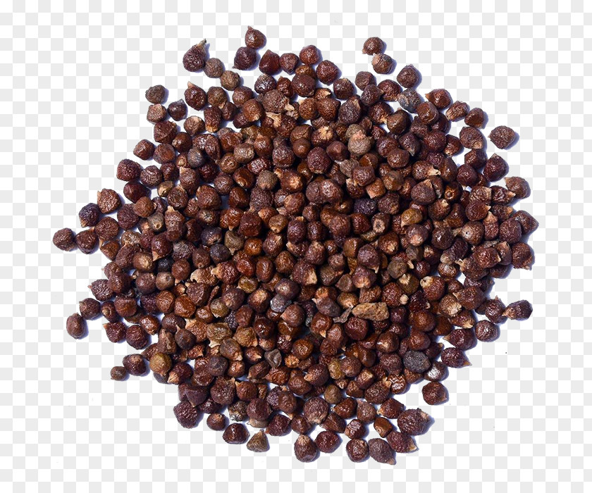 Black Pepper Aframomum Melegueta Cubeb Piper Guineense Spice PNG