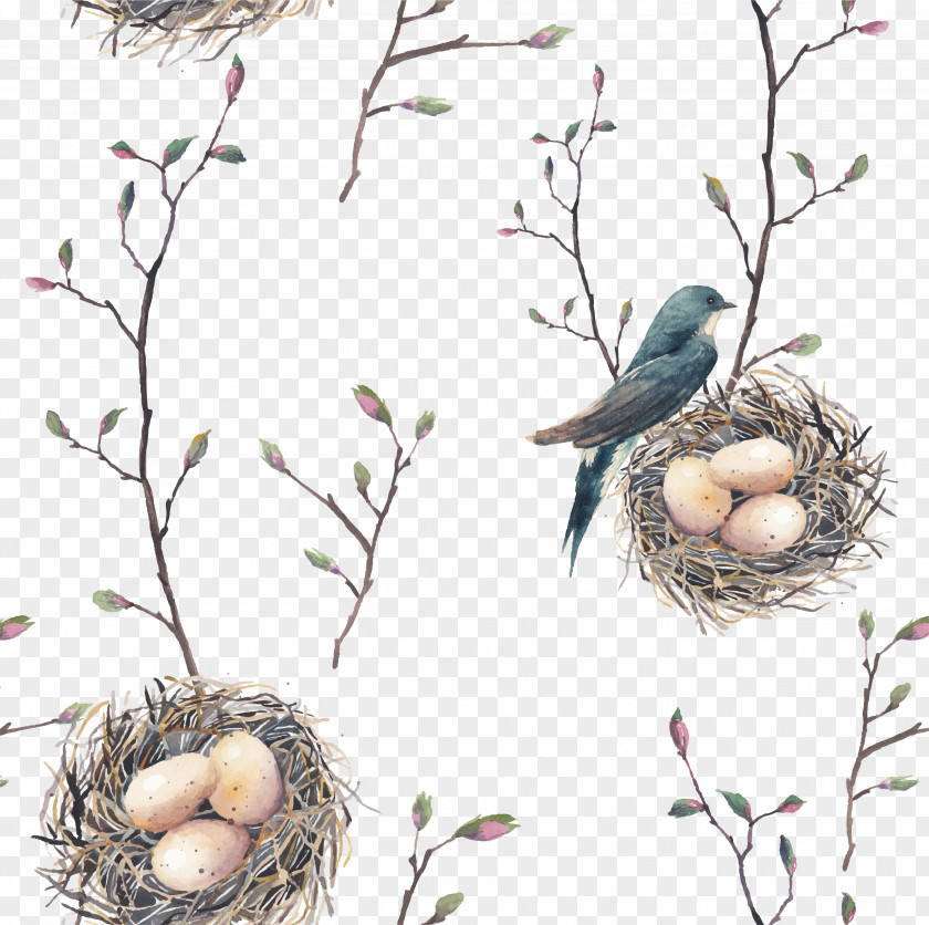 Cartoon Bird Nest Vector Swallow Tree Pattern PNG