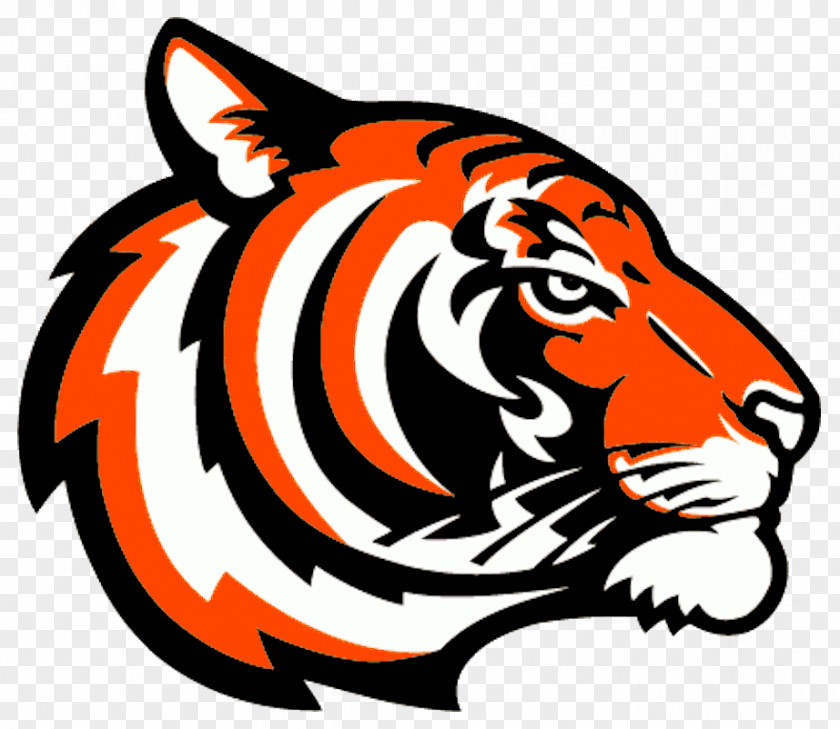 Cincinnati Bengals Logo Bengal Tiger Clip Art PNG