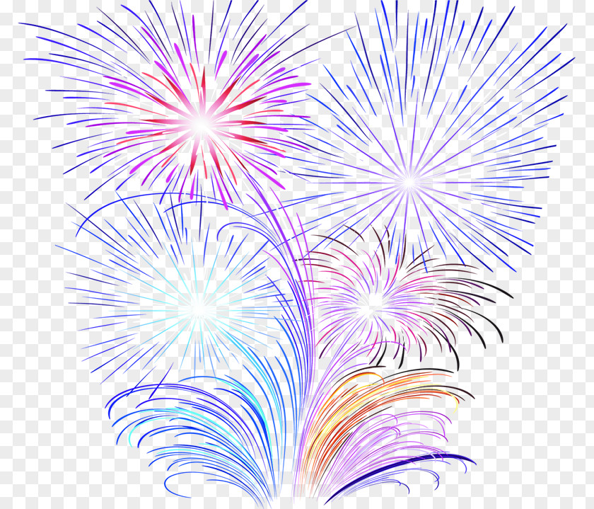 Fireworks Celebration PNG