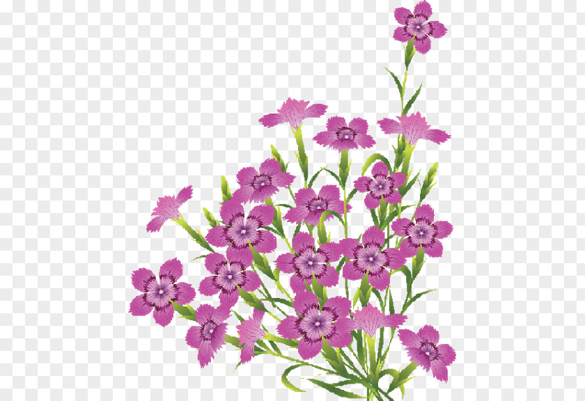 Flowers Board Flower Clip Art PNG