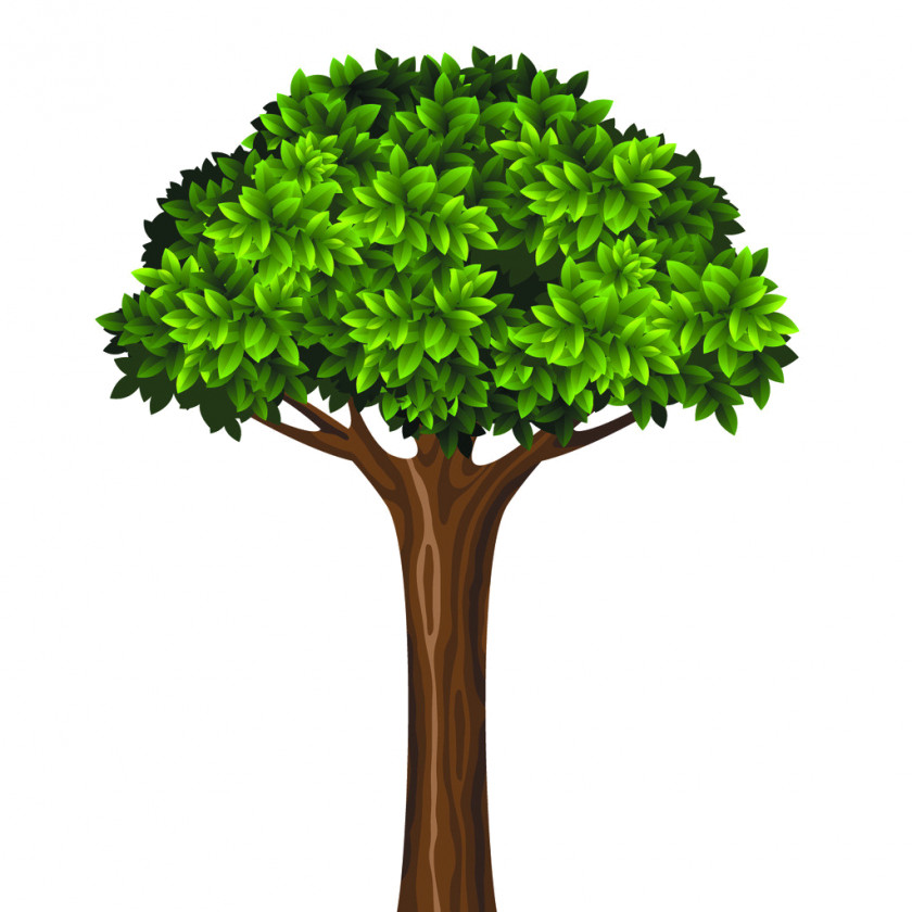 Vector Trees Educational Psychology PNG