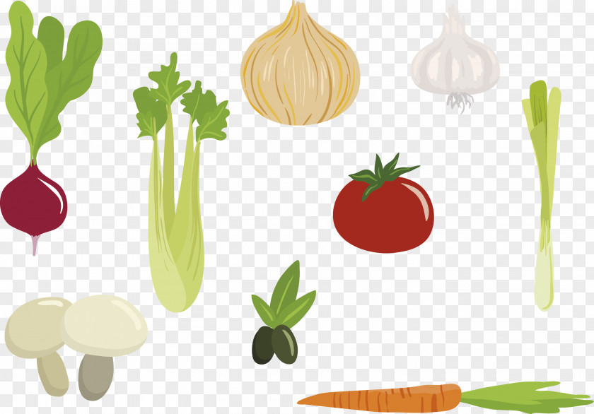Vector Vegetables Organic Food Shallot Vegetarian Cuisine Illustration PNG