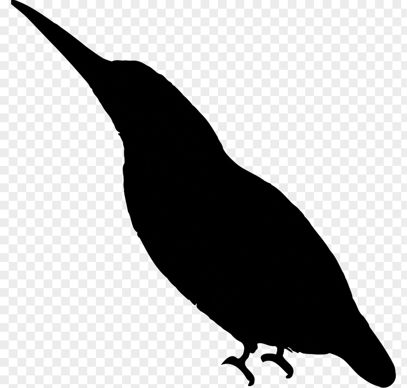 Beak Clip Art Fauna Silhouette PNG