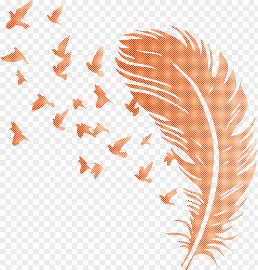 Bird Feather PNG