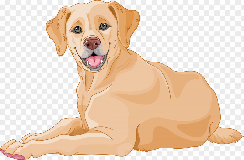 Hunting Dog Pointing Breed Golden Retriever Background PNG