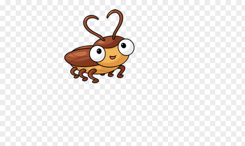 Insect Drawing Clip Art PNG