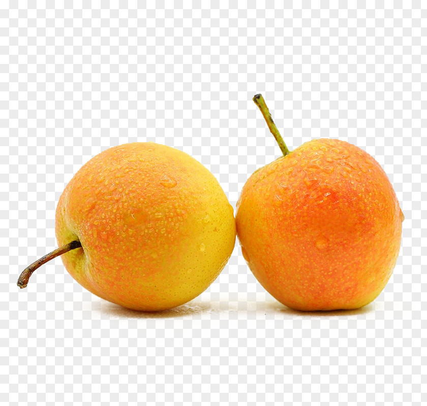 Korla Pear Clementine Tangerine Food PNG