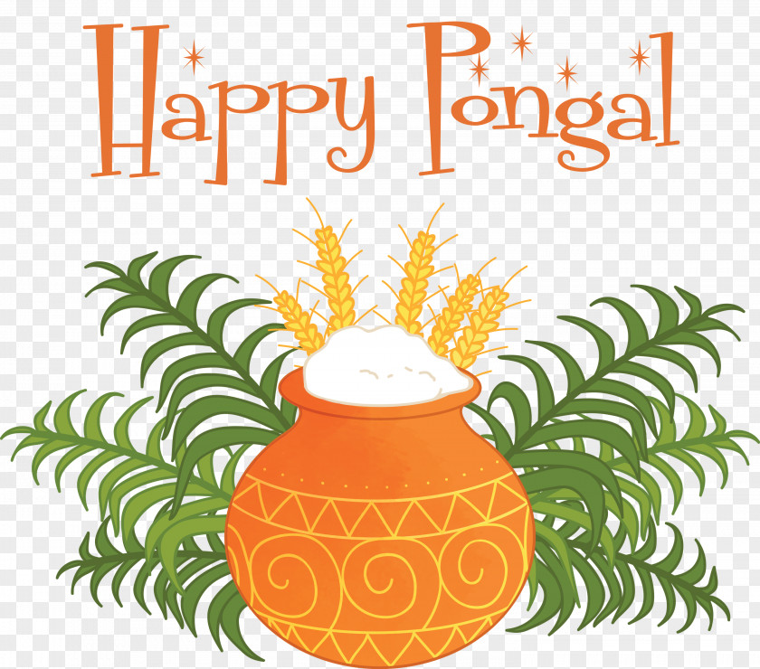 Pongal Thai Pongal Harvest Festival PNG