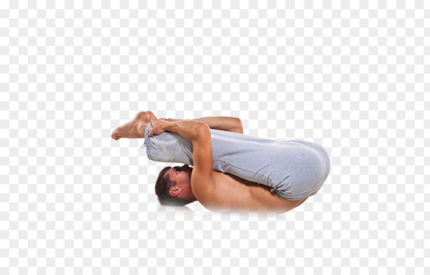 Yoga Physical Exercise Vecteur Bodybuilding PNG
