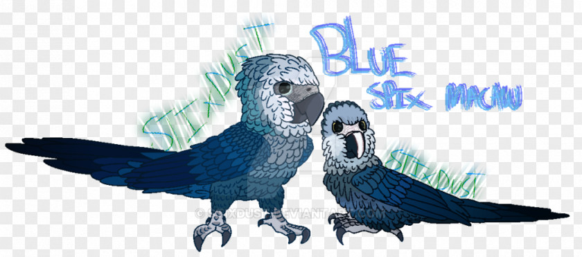 Baby Spix Macaw Artist DeviantArt Feather PNG