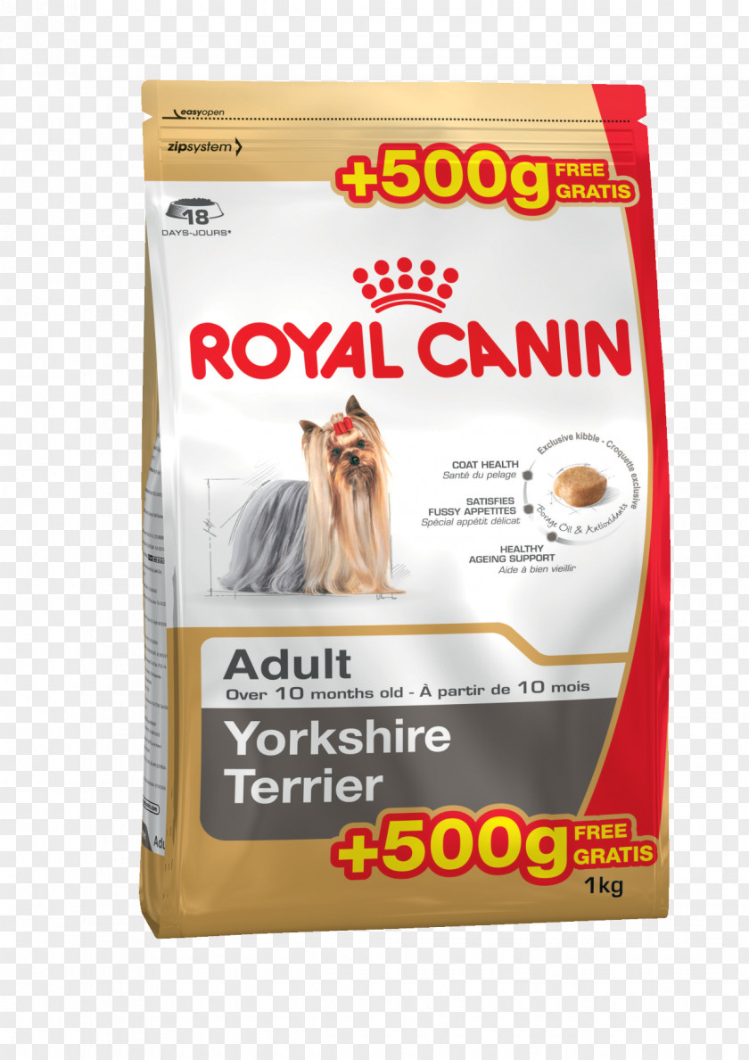 Cat Yorkshire Terrier Food Boxer English Toy PNG