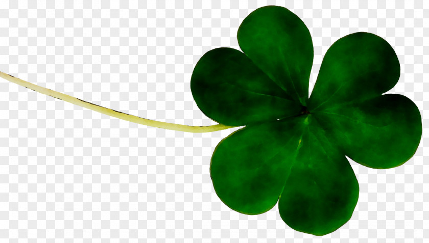 Leaf Shamrock PNG