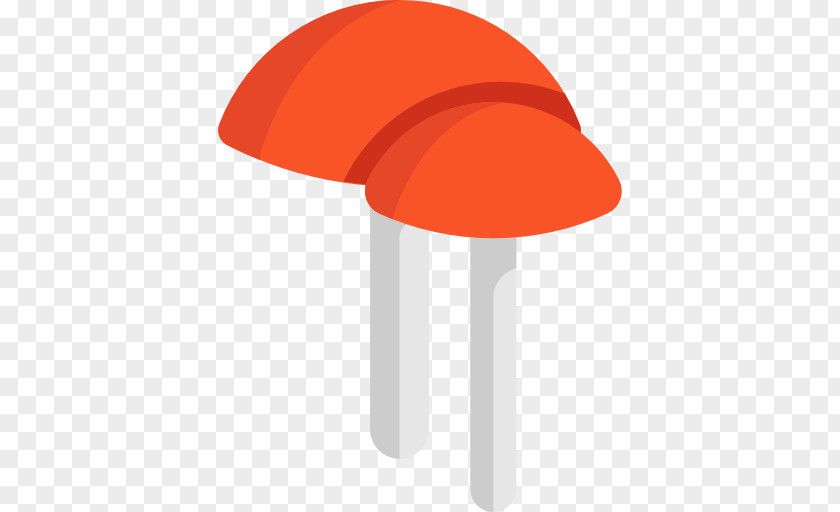 Mushroom Amanita Muscaria Hunting Food PNG