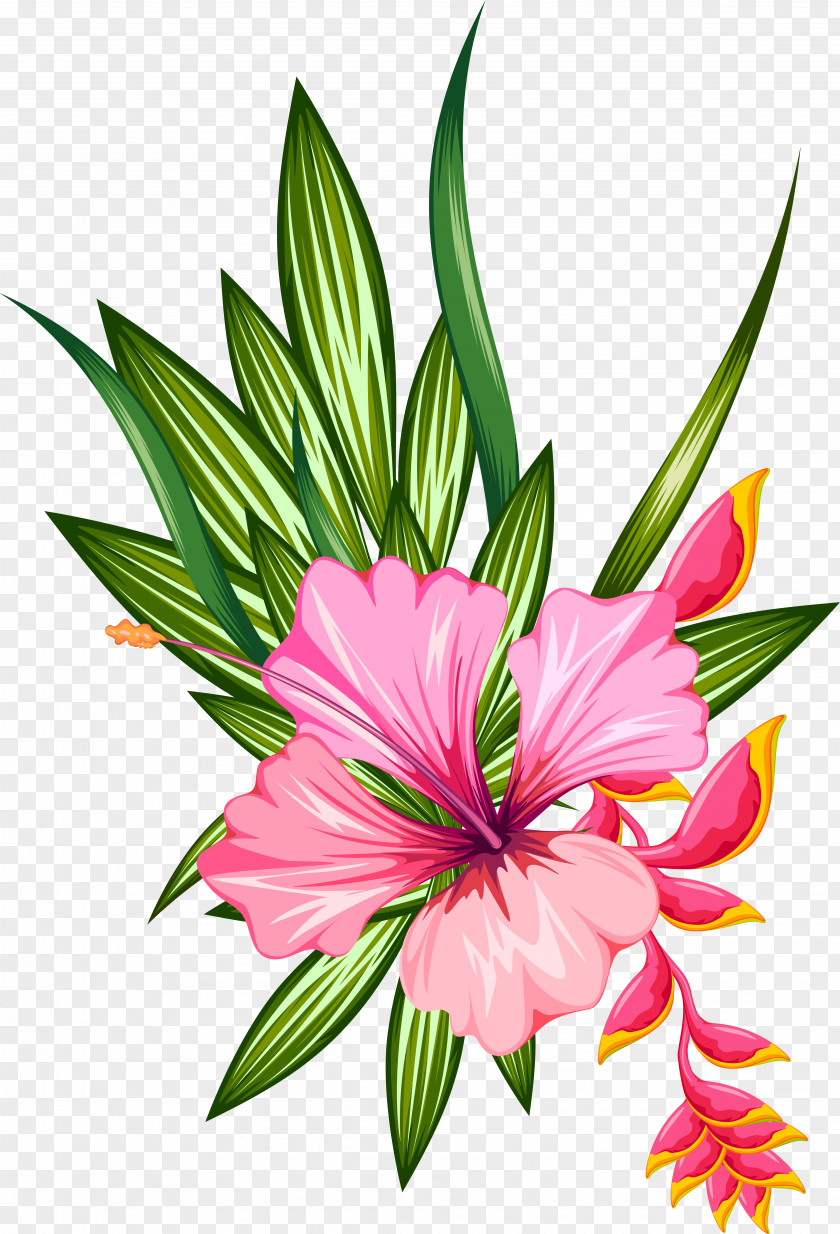 Pink Flowers Floral Design Flower Clip Art PNG