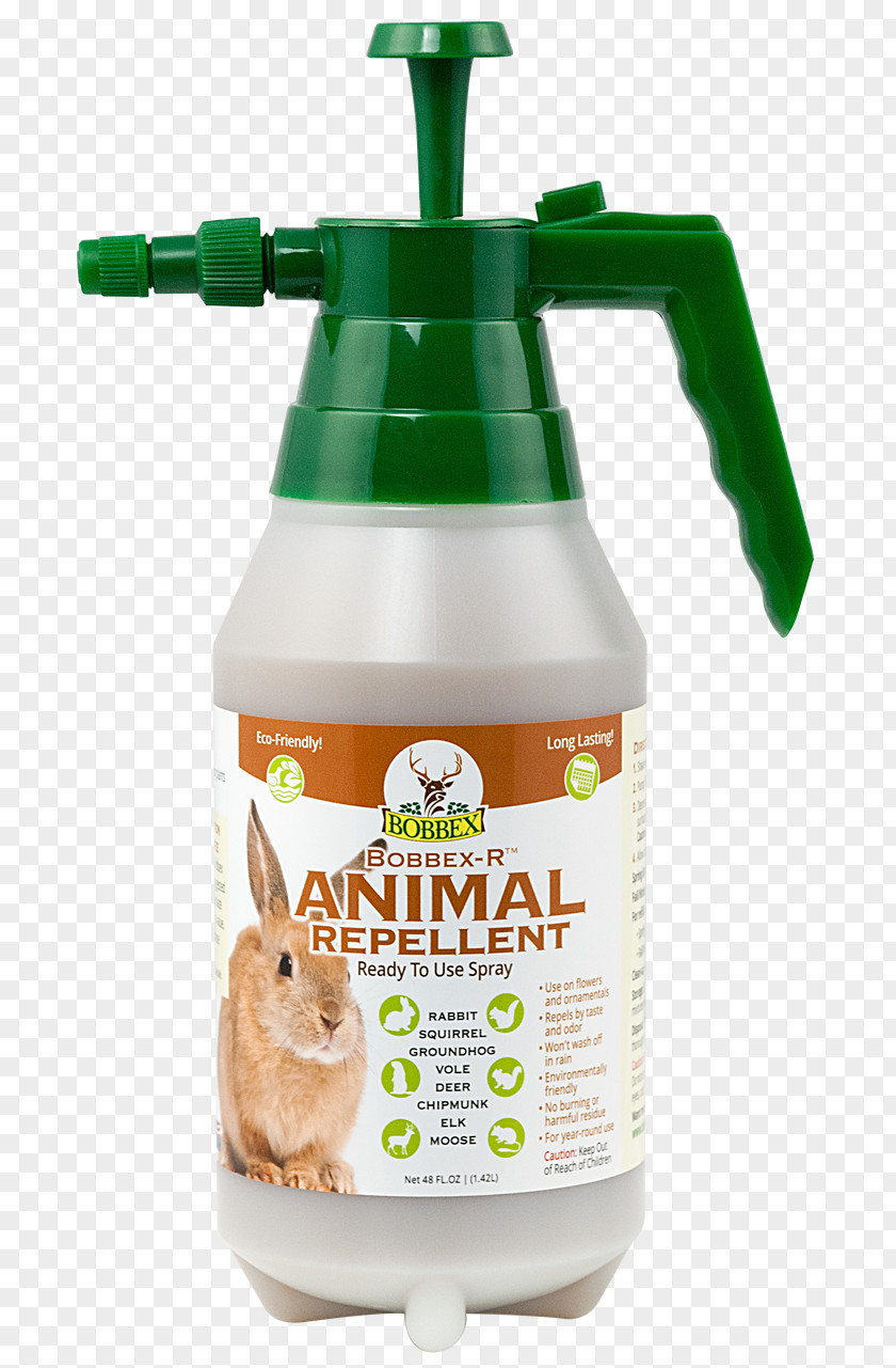 Squirrel Household Insect Repellents Animal Repellent Pest Control Groundhog PNG