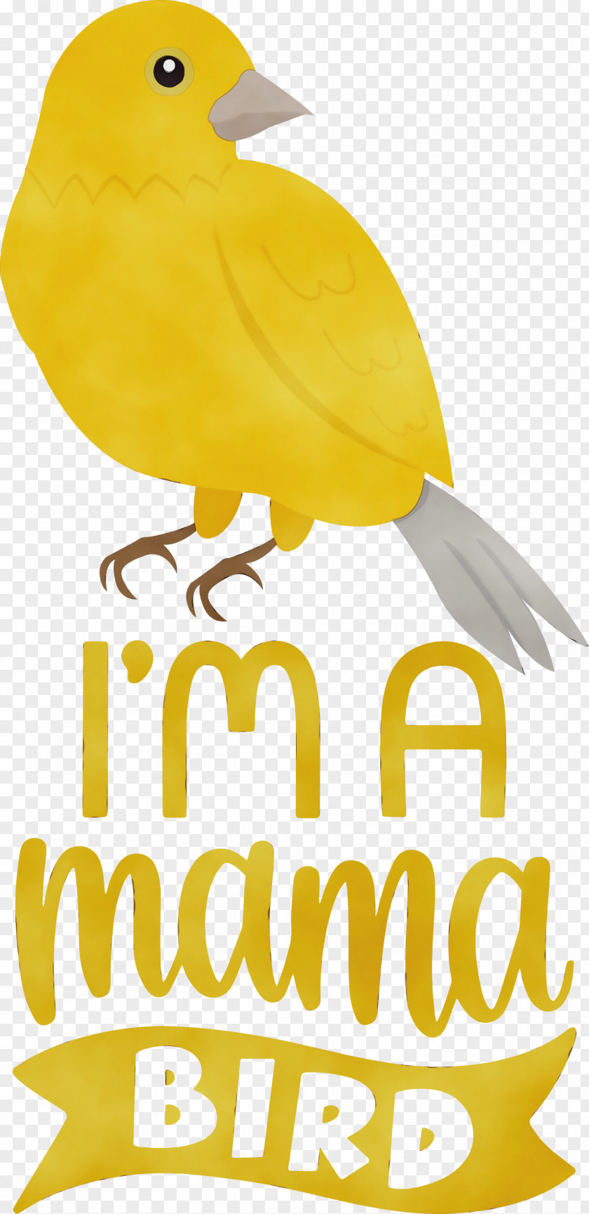 Birds Beak Meter Yellow PNG