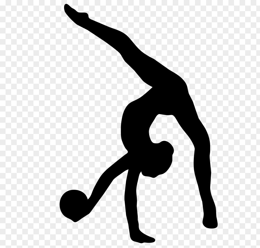 Gymnastics Rhythmic Ribbon Ball At The 2016 Summer Olympics – Women's Individual All-around PNG