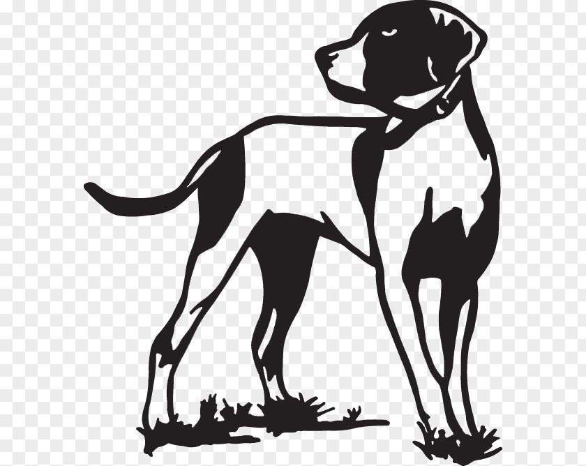 Hunting Dog English Setter Pointer Bird PNG