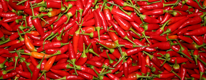 Pepper Kashmiri Cuisine Chili Capsicum Spice Agriculture PNG