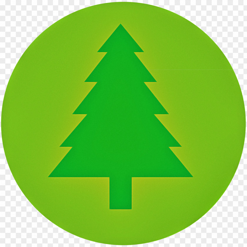 Pine Conifer Christmas Tree PNG