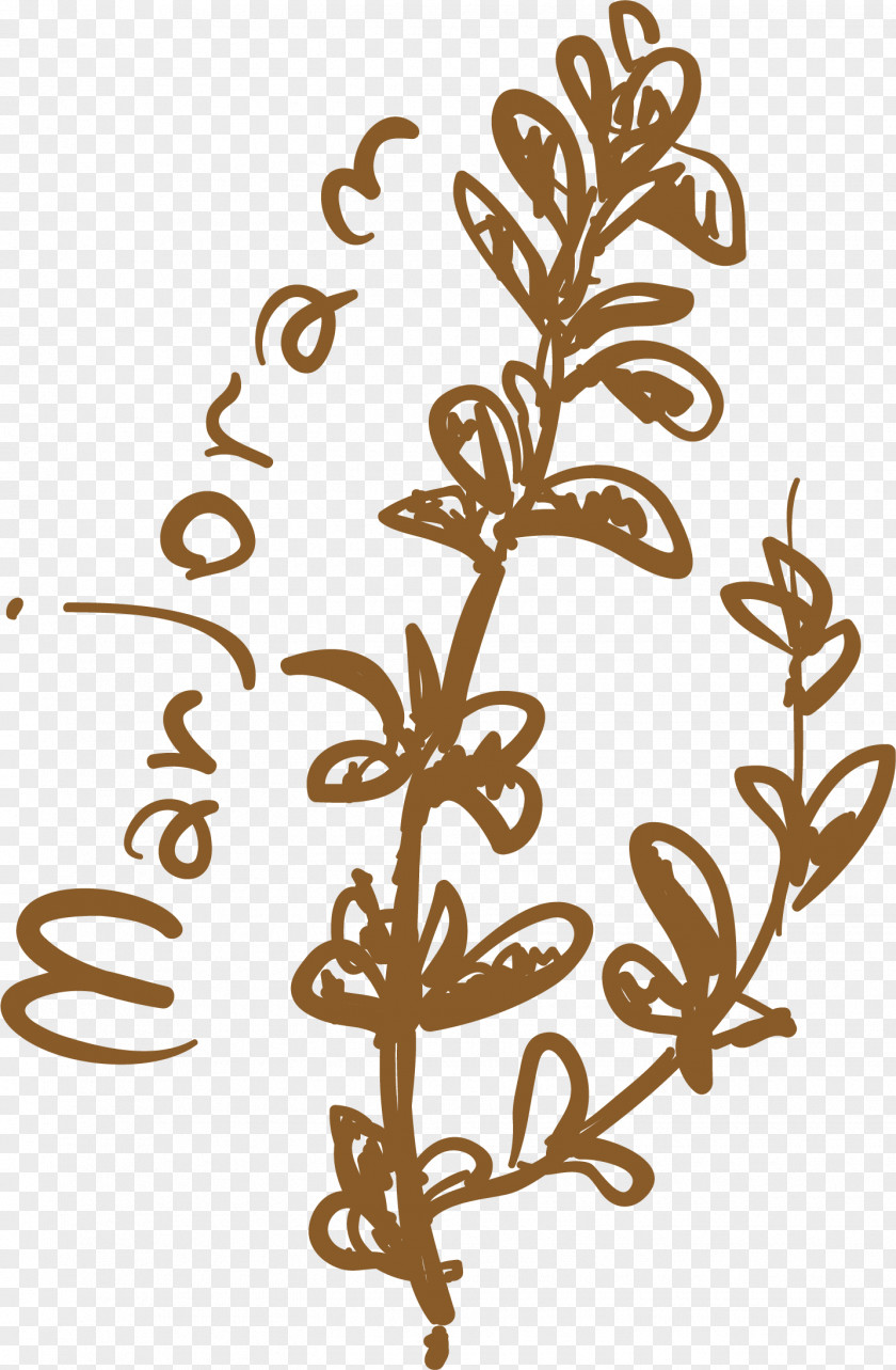 Plant Leaves Visual Arts Brown Pattern PNG