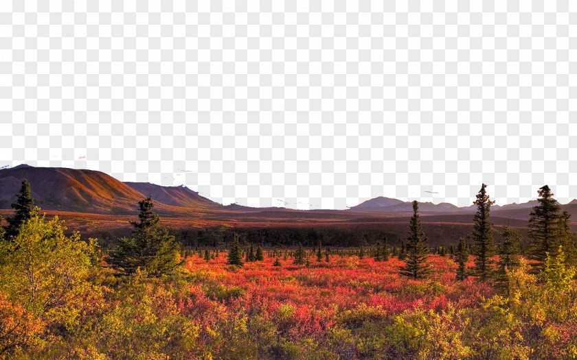 United States Denali National Park Ten 1080p High-definition Video Television WUXGA Wallpaper PNG