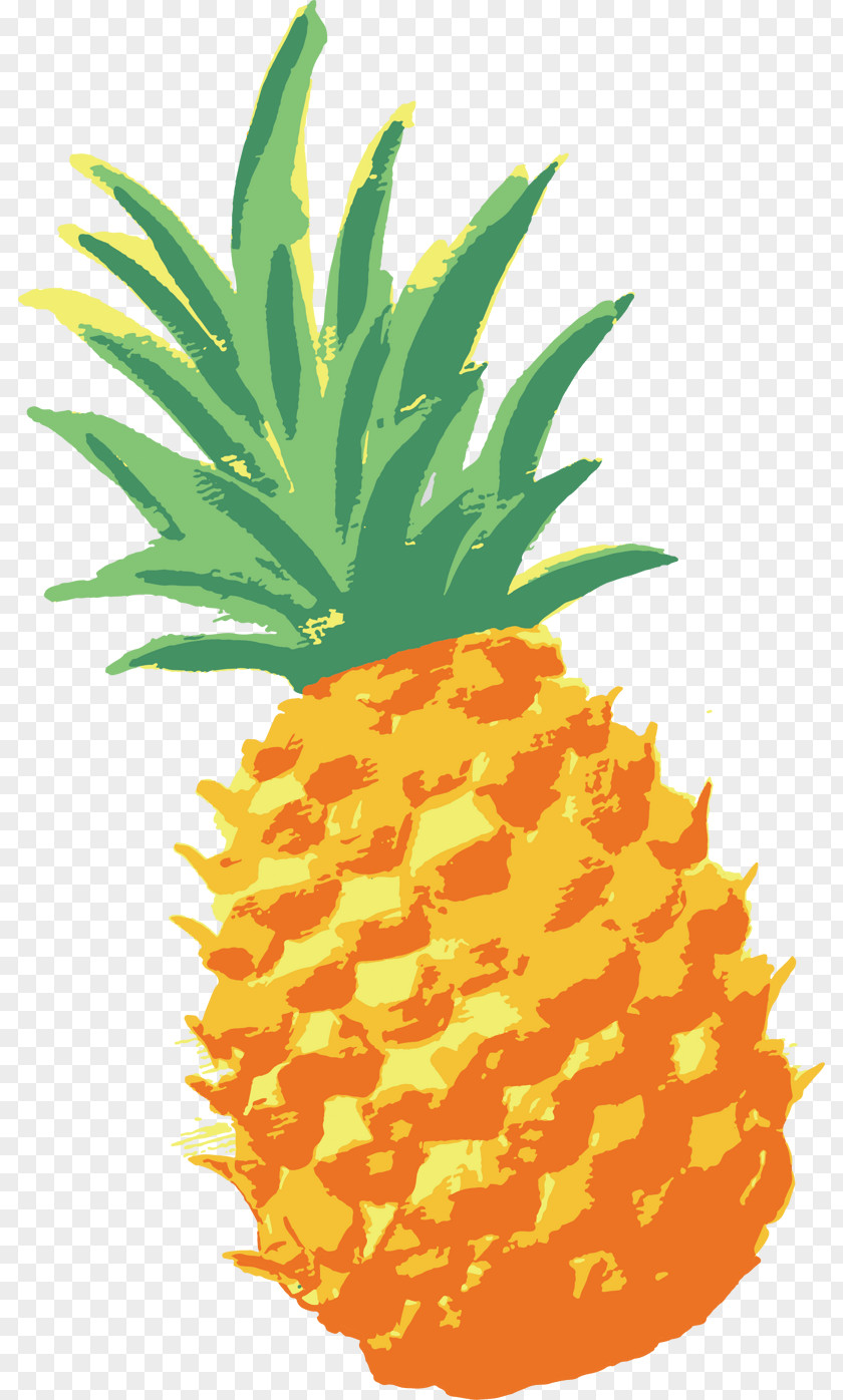 Ananas Watercolor Pineapple Vector Graphics Drawing Image PNG