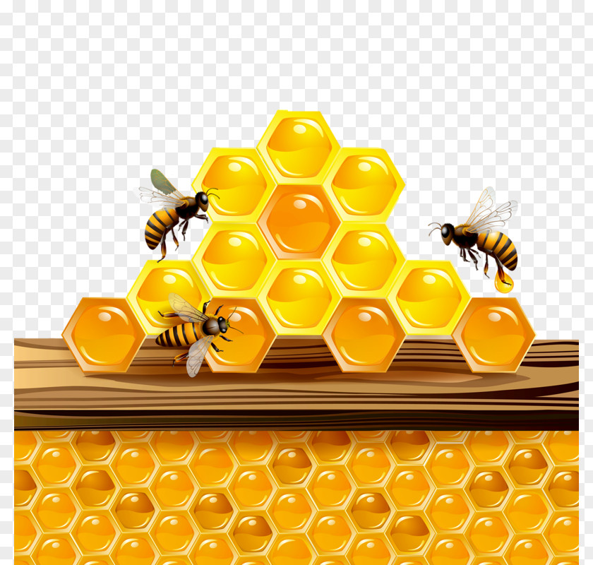 Bee Honey Honeycomb Clip Art PNG