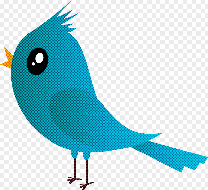 Bird Beak Cartoon Turquoise Songbird PNG