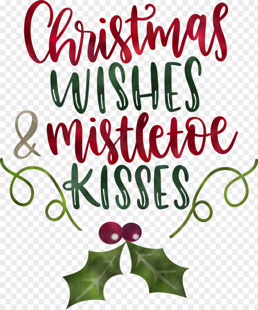 Christmas Wishes Mistletoe Kisses PNG