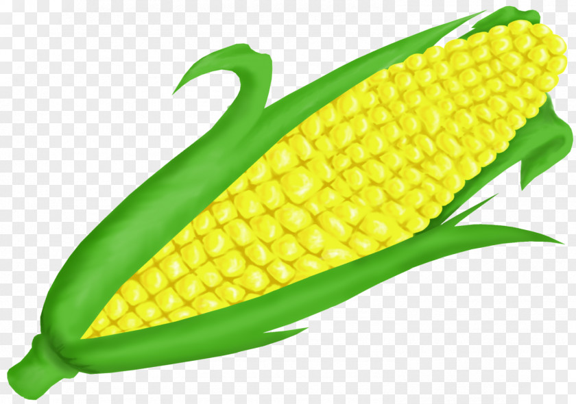 Corn On Cob Clip Art The Maize Sweet PNG