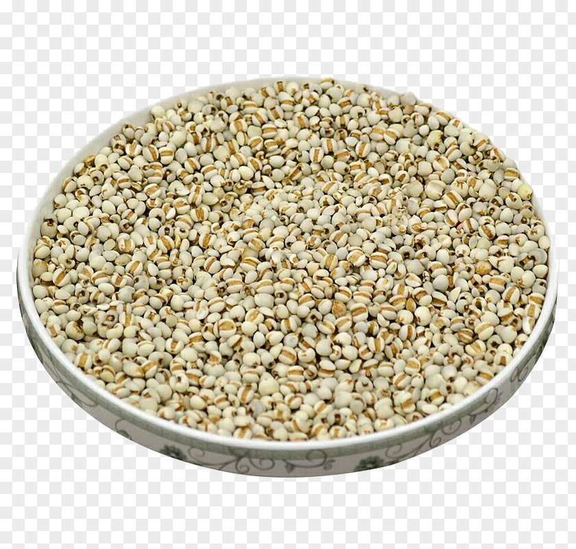Extra Small Mountain Barley Adlay Cereal Whole Grain PNG