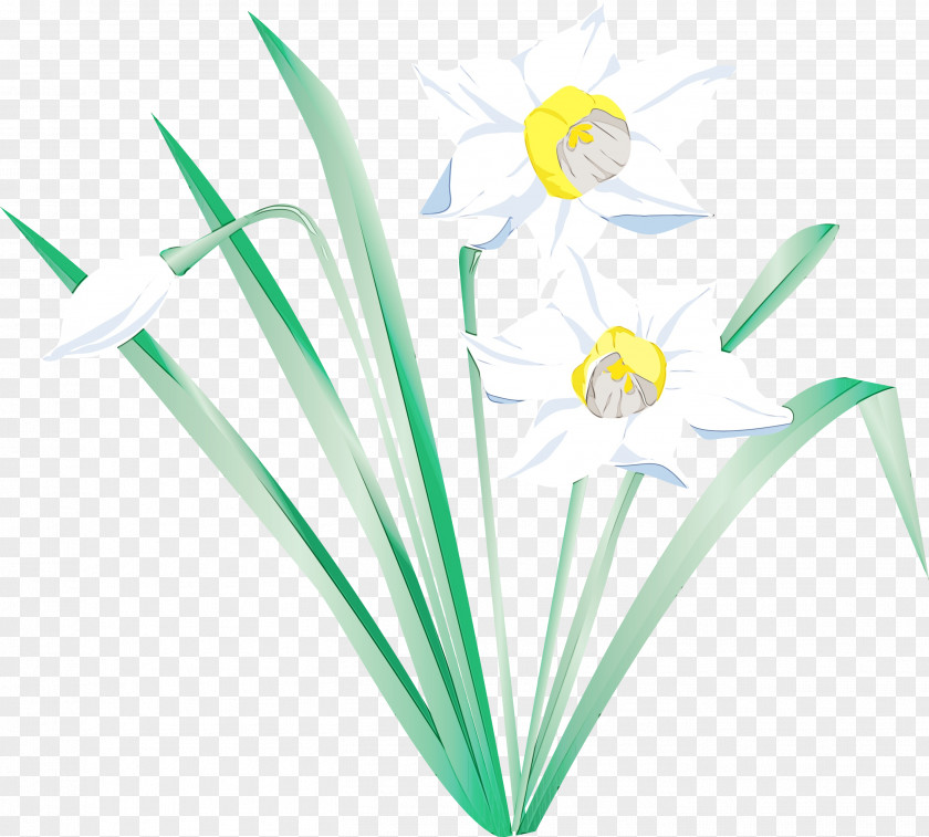 Grass Plant Floral Flower Background PNG