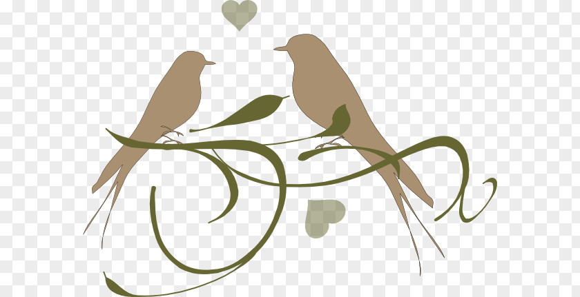 Loving Birds Lovebird Parrot Clip Art PNG