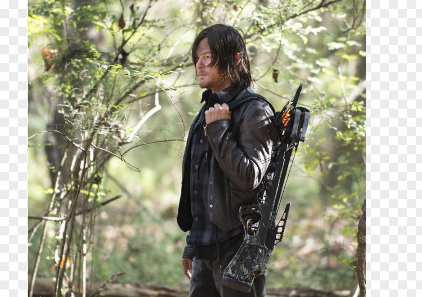 Season 5 The Walking DeadSeason 4Archery Target Daryl Dixon Aaron Michonne Dead PNG