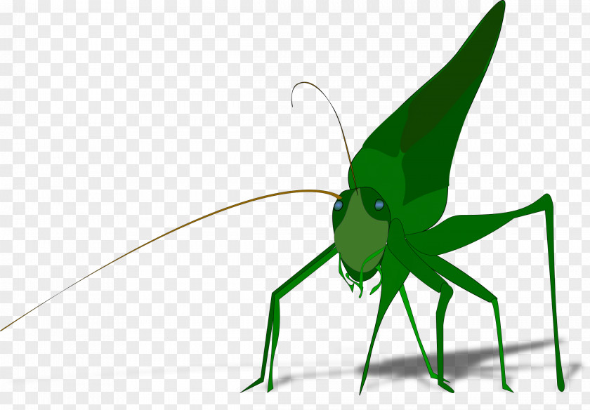 Shadow Effect The Ant And Grasshopper Clip Art PNG