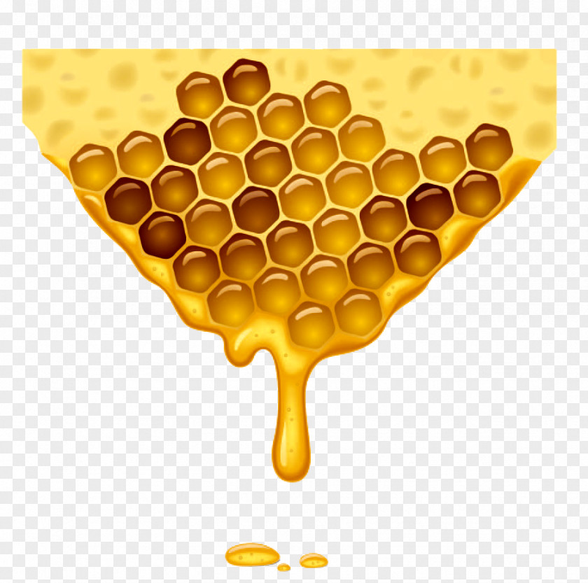 Bees Vector Honey Bee Honeycomb Beehive PNG