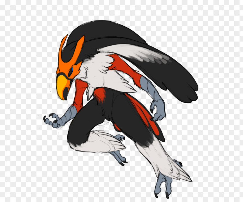 Bird Blaziken Secretarybird Beak Pokémon PNG