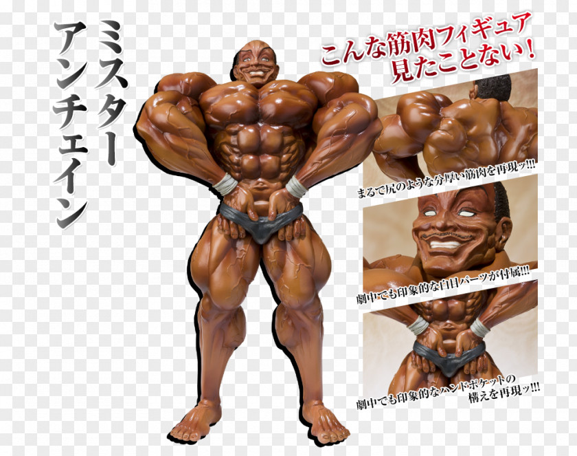 Bodybuilding Yujiro Hanma Baki Doppo Orochi Kaoru Hanayama The Grappler PNG