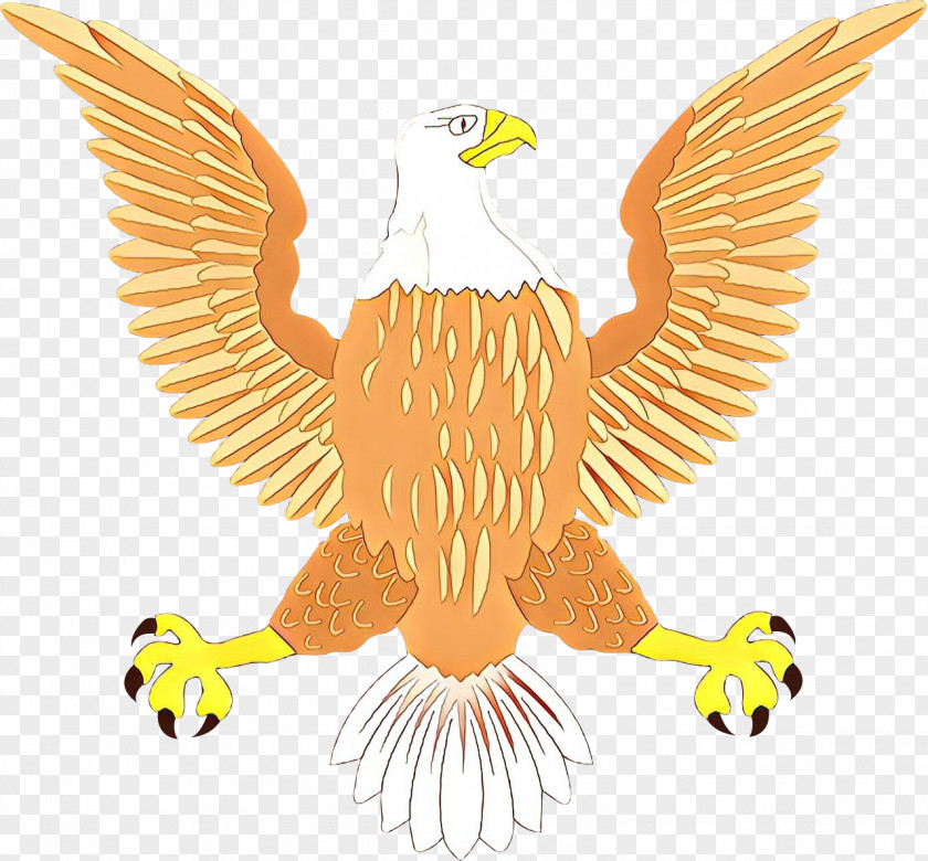 Buzzard Falconiformes Bird Logo PNG