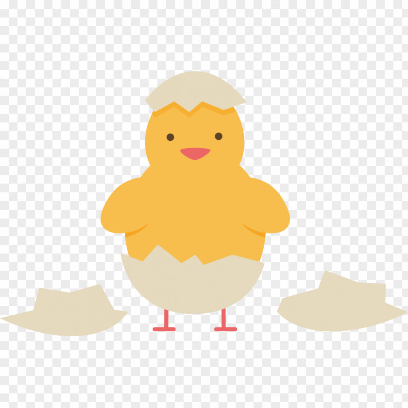 Chick Clothing Patterns Chicken Duck Clip Art PNG