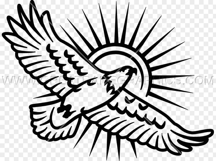 Eagle Printing Sunshine Grammar School Clip Art Casa Jacaranda Sports PNG