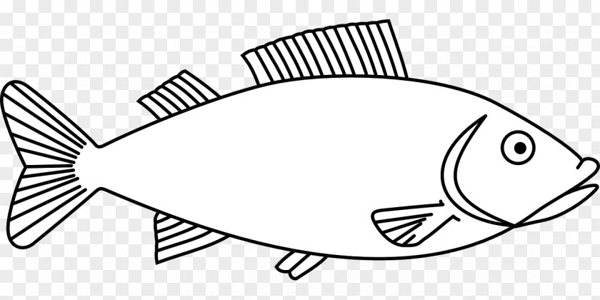 Fish Clip Art Drawing Coloring Book Image PNG