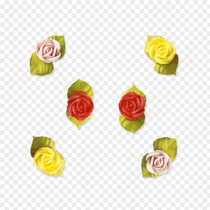 Gelb Und Rosa Rosen Garden Roses Cut Flowers Petal PNG