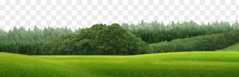 Green Field Download PNG