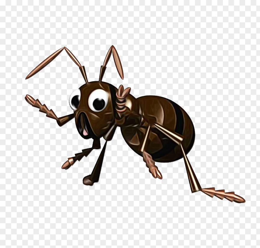 Hornet Wasp Fire Cartoon PNG